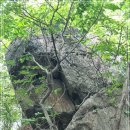 내곡동452 이미지