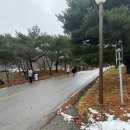 덕유산 cctv 실시간 확인, 무주 곤돌라 예약 가격 할인꿀팁