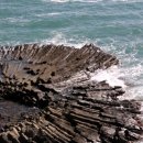 양남주상절리 이미지