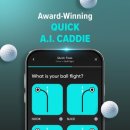 스마트 골프연습장 이미지