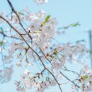 올림픽공원 북1문 옆 공원 이미지