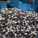 김천앞바다 이미지