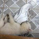 낭 - 제주시 우령2길 52 | 낭