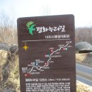 도신대교