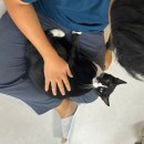 냥린이네 이미지