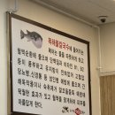 복칼국수 네이버블로그