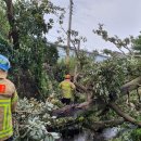 강정동-54 이미지