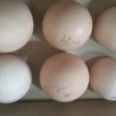 현인농원 이미지