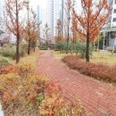 센트럴파크공인중개사사무소 이미지