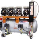 디에스덴탈 이미지