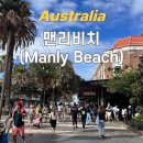 2095 | 호주 시드니 여행 ㅣ 맨리비치 페리 타는 방법 및 명당 &amp; 셸리비치 산책 (feat. 버터보이 쿠키 후기)