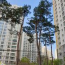 하남공인중개사사무소 이미지