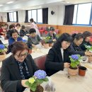 생활원예(반려식물) 이미지