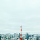 JP랜드1 | 아자부다이힐스 전망대 카페 에쉬레 도쿄여행코스