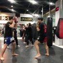 정의태권도체육관 이미지