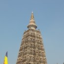 보드가야(BODHGAYA) 이미지