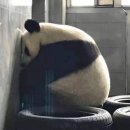 선이고은한의원 이미지