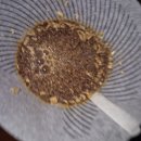 커피워터브루잉(coffee water brewing) | 도안 INDEX 구독원두 1: 과테말라 라 레포르마 게이샤 워시드 테이스팅 리뷰