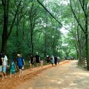 계족산황톳길 이미지