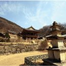 700고지 이미지