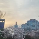 장흥군보건소 | 【2026장흥마라톤참가후기】