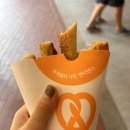피그먼트홈플러스 이미지