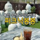 후르츠 봉봉 | 용인 수지 고기리 카페 [피크닉봉봉], 용인 애견동반 카페, 용인 아이스크림 맛집, 용인 루프탑 카페