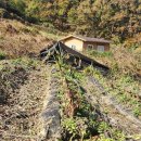 윤보선로450번길 이미지