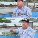 '섬총사2' 문세윤 "강호동, 뚱보 개그맨들의 교과서" 이미지