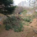 광명농원 이미지