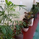 한미병원 이미지