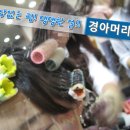 부산머리방 이미지