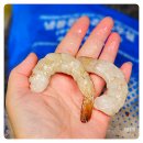 대원무역 이미지