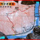 비선식당 이미지