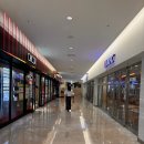 삼성역 속눈썹펌, 코엑스 아이브로우바바이이연,내돈내산후기