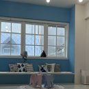 하루에 | 뉴본부터 돌 촬영까지 하루에 스튜디오 후기 / 돌촬영 스튜디오 / 강남 아기 스튜디오