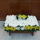 경희늘푸른노인전문병원 네이버블로그