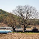 이제길 정려 이미지