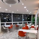 냥카페,루브 | 안산고양이카페 냥카페루브에 다녀온 내돈내산 후기예요