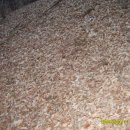 용추계곡(내)4 이미지