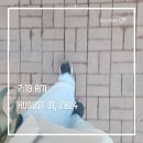 마포구[상암동,성산동,연남동,서강동,신수동] 분임, 단임 마무리. 그리고 반성...