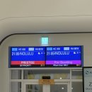 꿈의 비행 | 하와이 신혼여행 후기 1편 출발 후기 하와이 비행시간 렌터카 와이키키 첫날 일정 정리