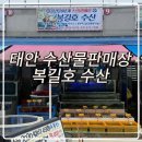 태안 몽산포수산시장 회 해산물 맛집 복길호 수산 짱세트 후기 애견동반 가능