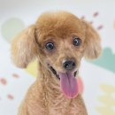 산호동457 이미지