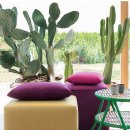 까사비앙카 이미지