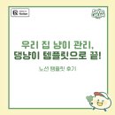 노션 템플릿 후기 | 우리 집 냥이 관리, 댕냥이 템플릿으로 끝!