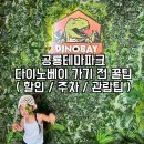 공룡목장 | 공룡테마파크 다이노베이 가기 전 꼭 알아야할 꿀팁