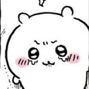 샵두꺼비 이미지