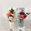 모코코플레르 이미지