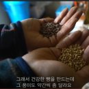 그랑께롱 이미지